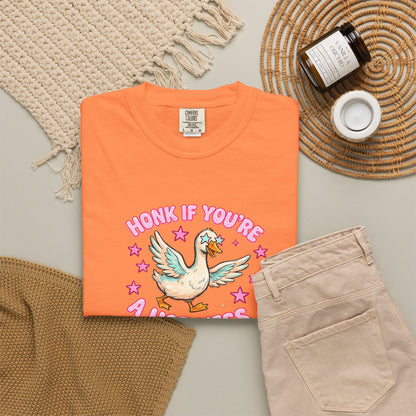 T-Shirt — 'Honk If You're A Hot Mess' Duck Graphic Tee