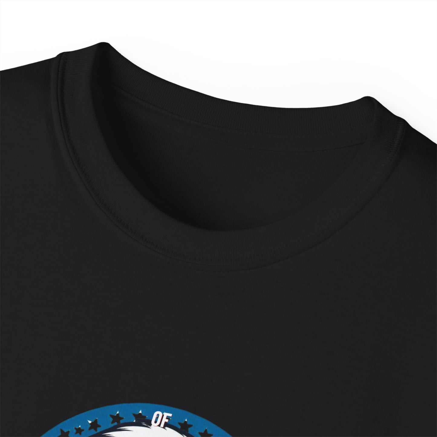 Patriotic Bald Eagle Tee — American Flag Shield Graphic