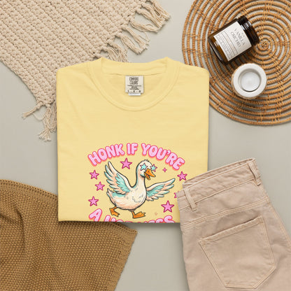 T-Shirt — 'Honk If You're A Hot Mess' Duck Graphic Tee