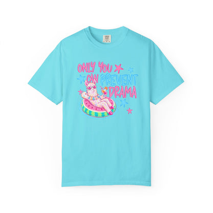 “Only You Can Prevent Drama" comfort color