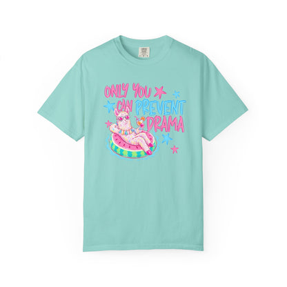“Only You Can Prevent Drama" comfort color
