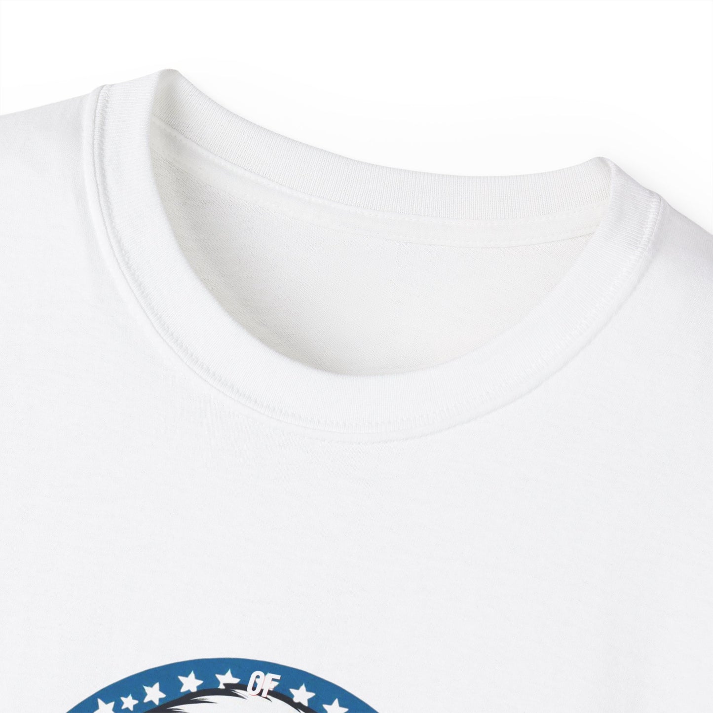 Patriotic Bald Eagle Tee — American Flag Shield Graphic