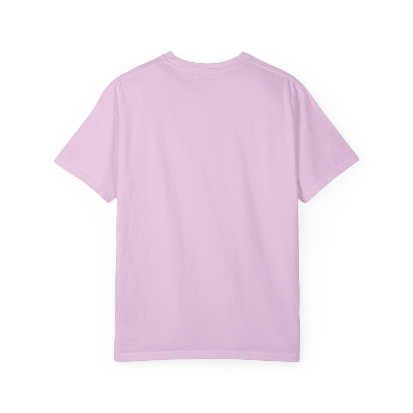 “No Probllama"  comfort color