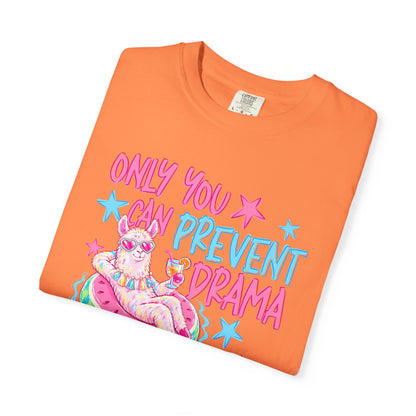 “Only You Can Prevent Drama" comfort color