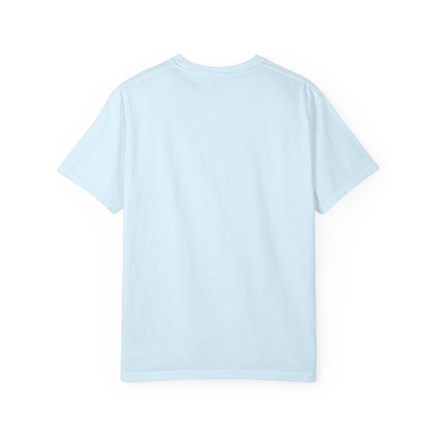 “No Probllama"  comfort color