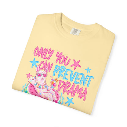 “Only You Can Prevent Drama" comfort color