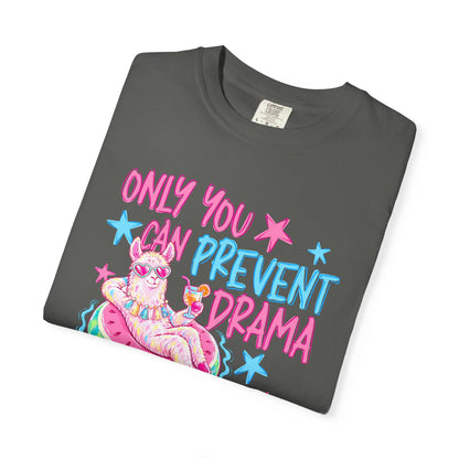 “Only You Can Prevent Drama" comfort color