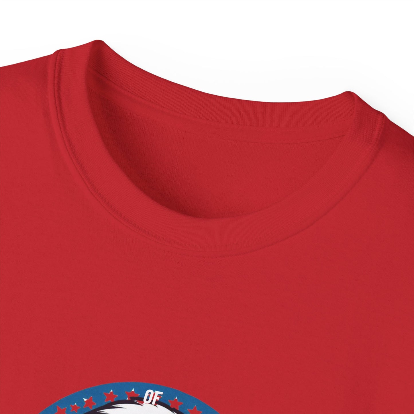 Patriotic Bald Eagle Tee — American Flag Shield Graphic