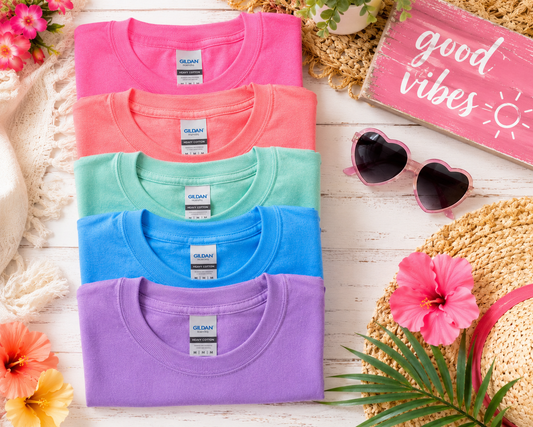 Gildan T-shirt bundle